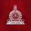 Social Welfare Society logo